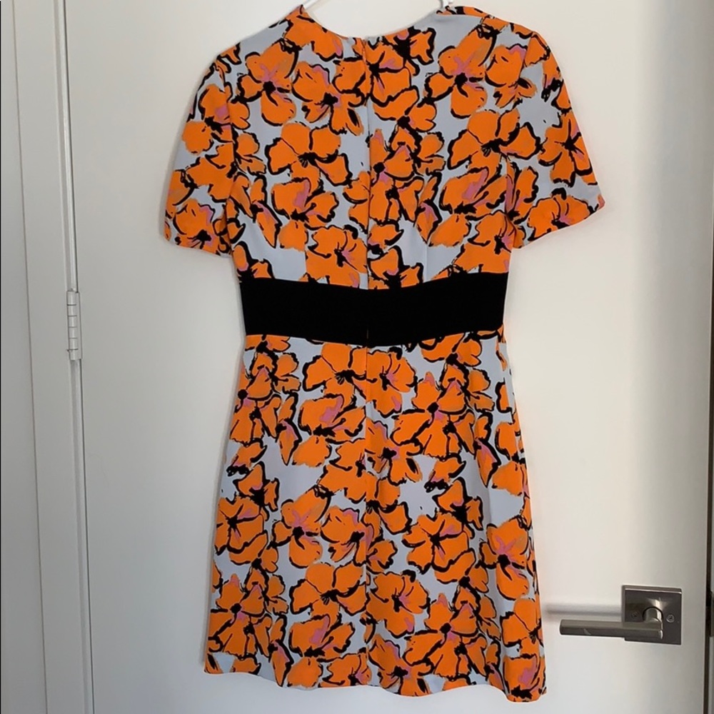 A.L.C. Size 2 dress. - Picture 5 of 7
